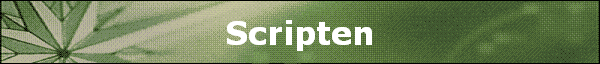 Scripten