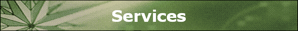 Services